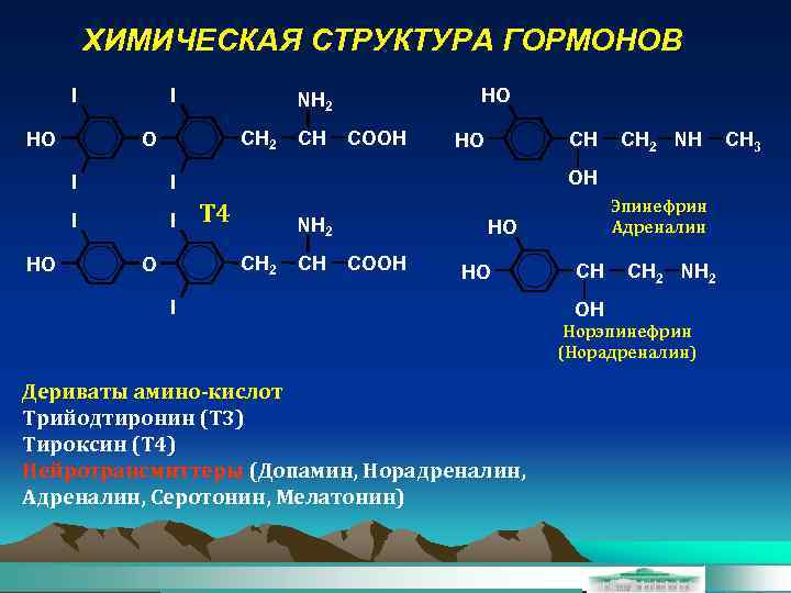 ХИМИЧЕСКАЯ СТРУКТУРА ГОРМОНОВ I I CH 2 O HO I CH COOH CH HO