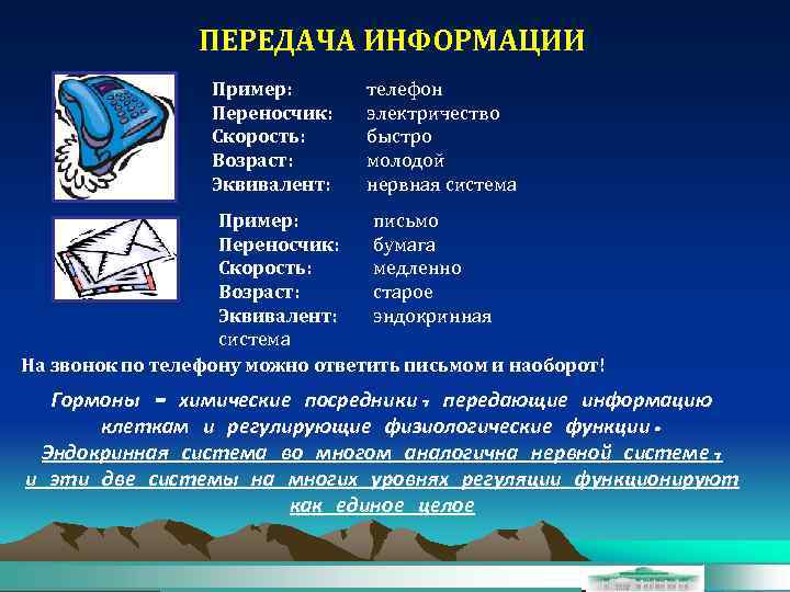ПЕРЕДАЧА ИНФОРМАЦИИ Пример: Переносчик: Скорость: Возраст: Эквивалент: телефон электричество быстро молодой нервная система Пример:
