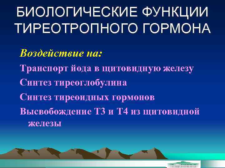 БИОЛОГИЧЕСКИЕ ФУНКЦИИ ТИРЕОТРОПНОГО ГОРМОНА Воздействие на: Транспорт йода в щитовидную железу Синтез тиреоглобулина Синтез