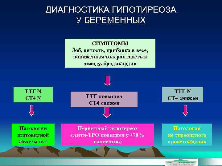 ДИАГНОСТИКА ГИПОТИРЕОЗА У БЕРЕМЕННЫХ СИМПТОМЫ Зоб, вялость, прибавка в весе, пониженная толерантность к холоду,