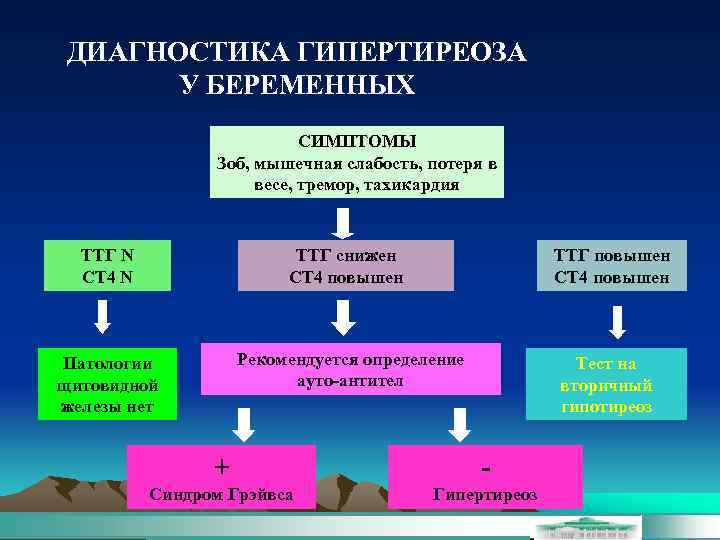 ДИАГНОСТИКА ГИПЕРТИРЕОЗА У БЕРЕМЕННЫХ СИМПТОМЫ Зоб, мышечная слабость, потеря в весе, тремор, тахикардия ТТГ