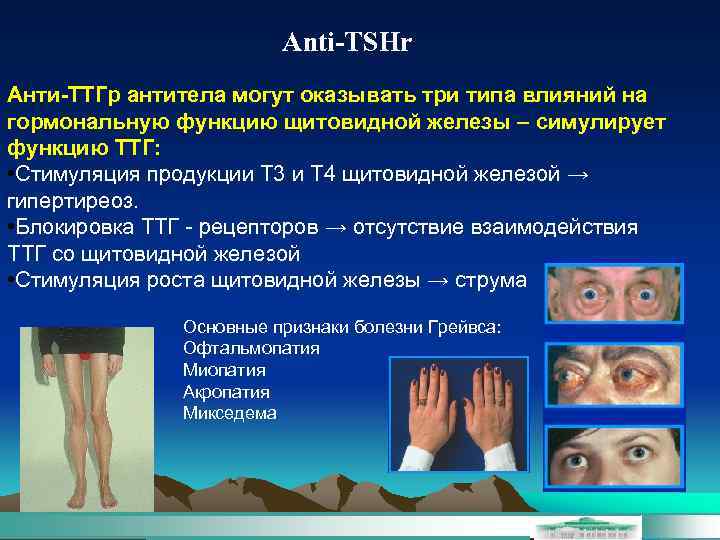 Anti-TSHr Анти-ТТГр антитела могут оказывать три типа влияний на гормональную функцию щитовидной железы –