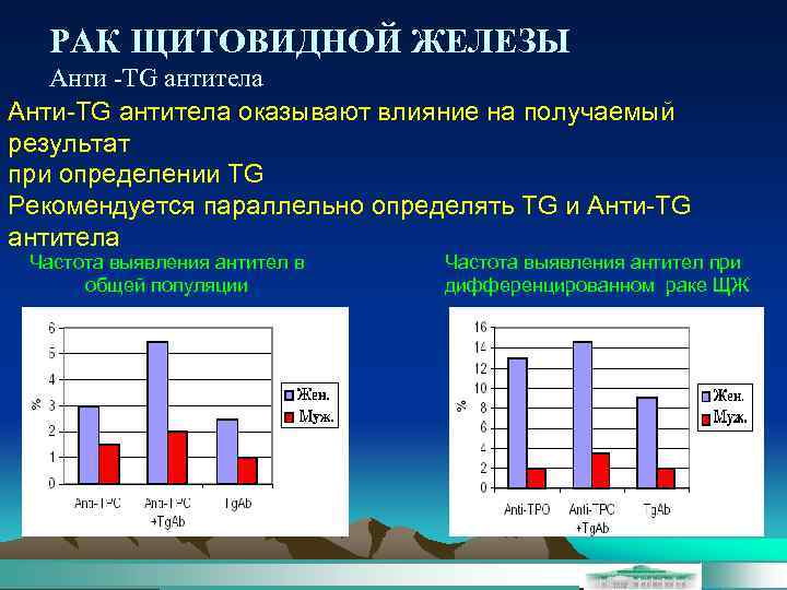РАК ЩИТОВИДНОЙ ЖЕЛЕЗЫ Анти -TG антитела Анти-TG антитела оказывают влияние на получаемый результат при