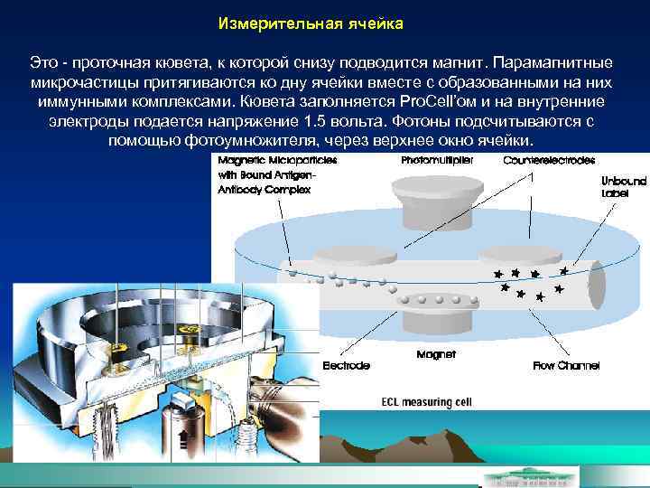 Измерительная ячейка Это - проточная кювета, к которой снизу подводится магнит. Парамагнитные микрочастицы притягиваются