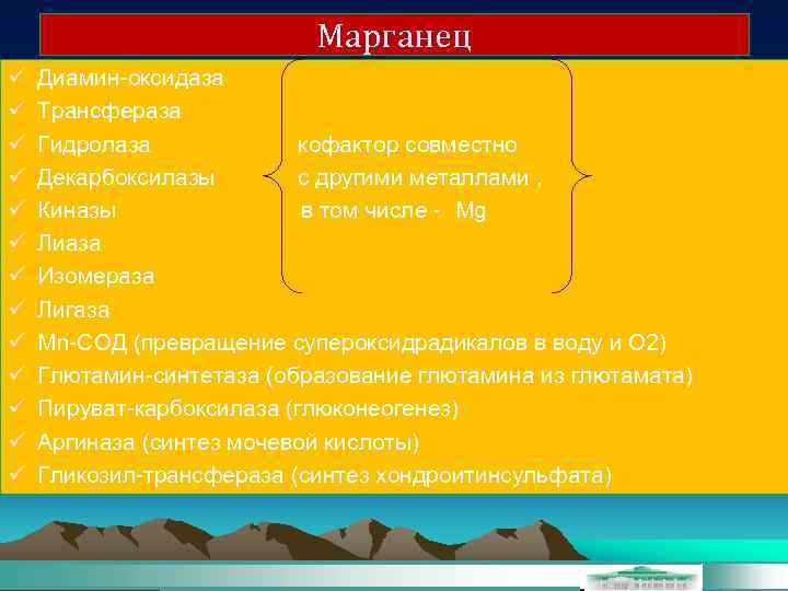 Марганец ü ü ü ü Диамин-оксидаза Трансфераза Гидролаза кофактор совместно Декарбоксилазы с другими металлами