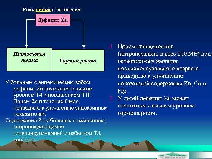 Роль цинка в патогенезе Дефицит Zn 1. Прием кальцитонина Щитовидная (интраназально в дозе 200