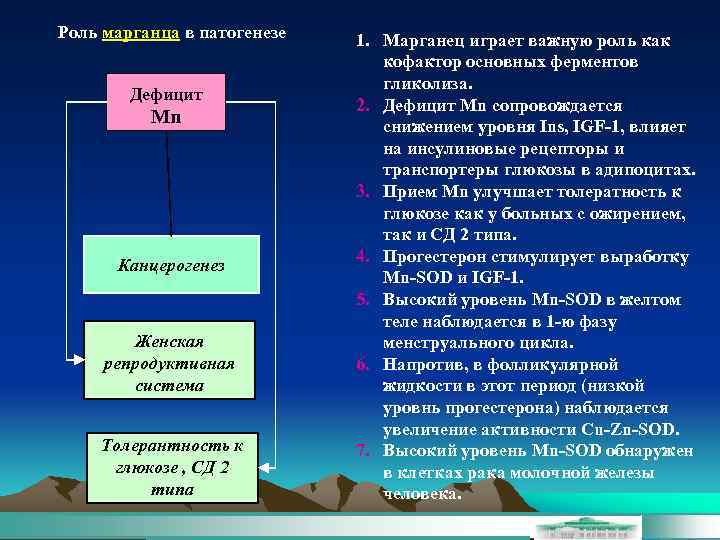 Роль марганца в патогенезе Дефицит Mn Канцерогенез Женская репродуктивная система Толерантность к глюкозе ,