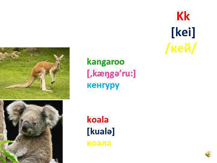 kangaroo [, kæŋgә’ru: ] кенгуру koala [kualә] коала Kk [kei] /кей/ 