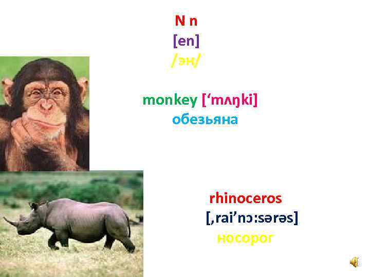 Nn [en] /эн/ monkey [‘mʌŋki] обезьяна rhinoceros [, rai’nɔ: sәrәs] носорог 