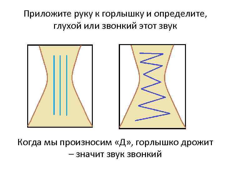 Приложите руку к горлышку и определите, глухой или звонкий этот звук Когда мы произносим