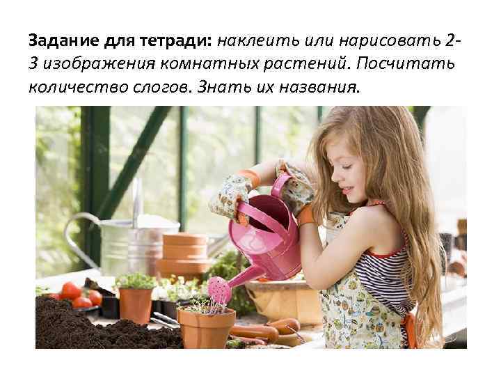 Задание для тетради: наклеить или нарисовать 23 изображения комнатных растений. Посчитать количество слогов. Знать