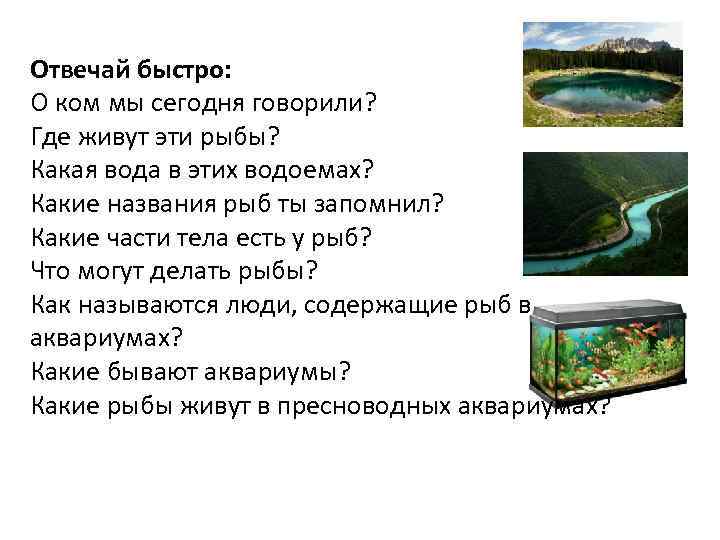 Отвечай быстро: О ком мы сегодня говорили? Где живут эти рыбы? Какая вода в