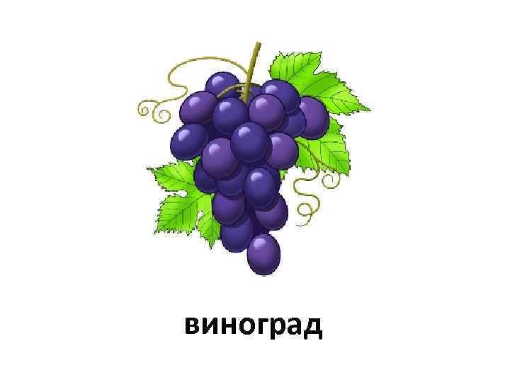 виноград 