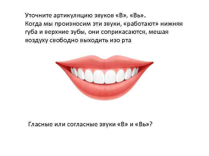 Уточните артикуляцию звуков «В» , «Вь» . Когда мы произносим эти звуки, «работают» нижняя