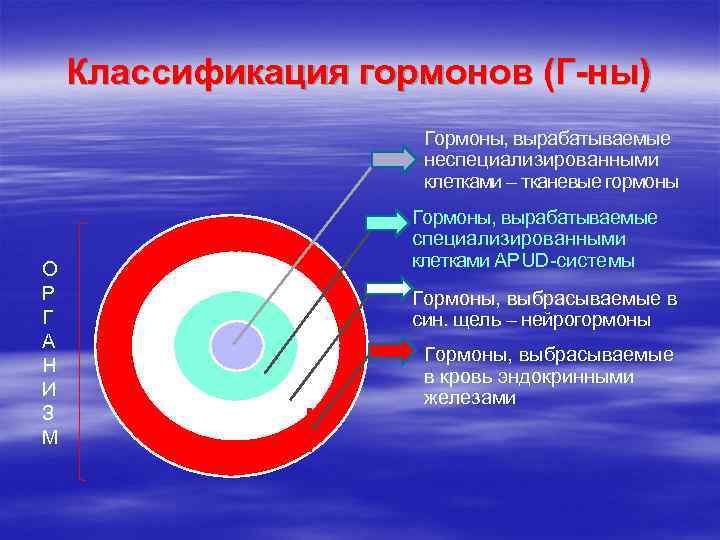 Классификация гормонов (Г-ны) Гормоны, вырабатываемые неспециализированными клетками – тканевые гормоны О Р Г А