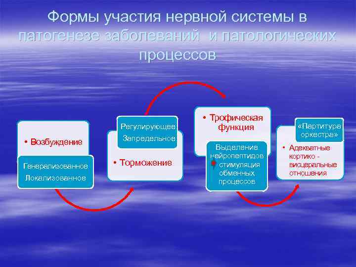 Формы участия нервной системы в патогенезе заболеваний и патологических процессов • Возбуждение Генерализованное Локализованное