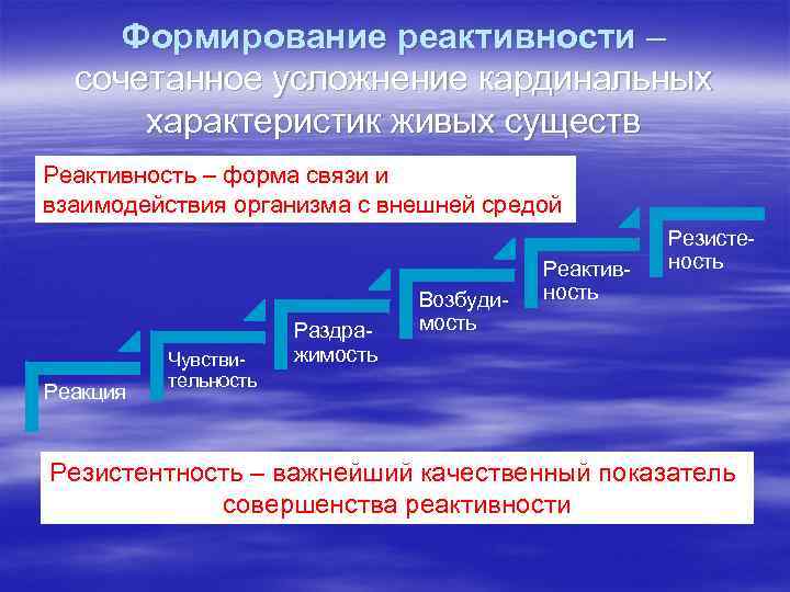 Формирование реактивности – сочетанное усложнение кардинальных характеристик живых существ Реактивность – форма связи и