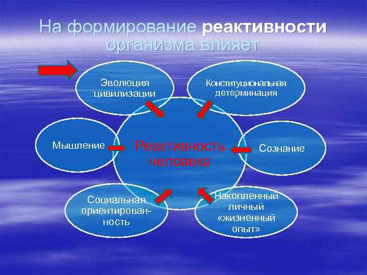 Реактивность организма картинки