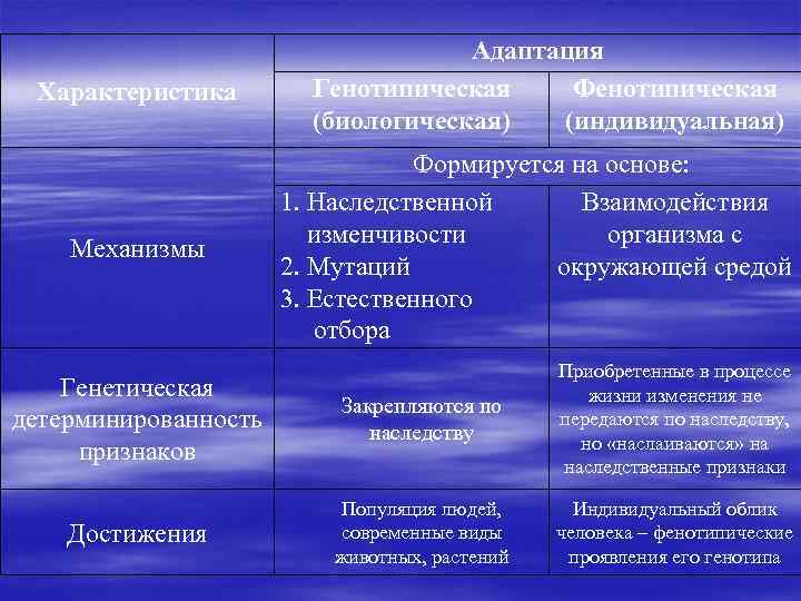 Характеристика Механизмы Адаптация Генотипическая Фенотипическая (биологическая) (индивидуальная) Формируется на основе: 1. Наследственной Взаимодействия изменчивости