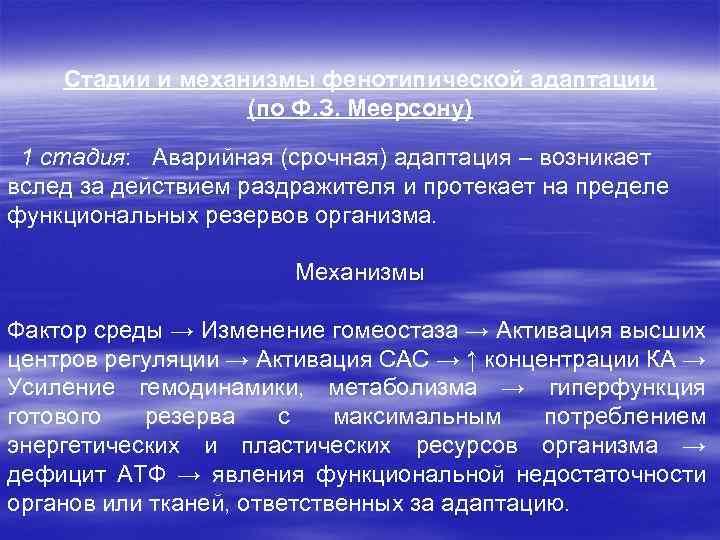 Стадии и механизмы фенотипической адаптации (по Ф. З. Меерсону) 1 стадия: Аварийная (срочная) адаптация