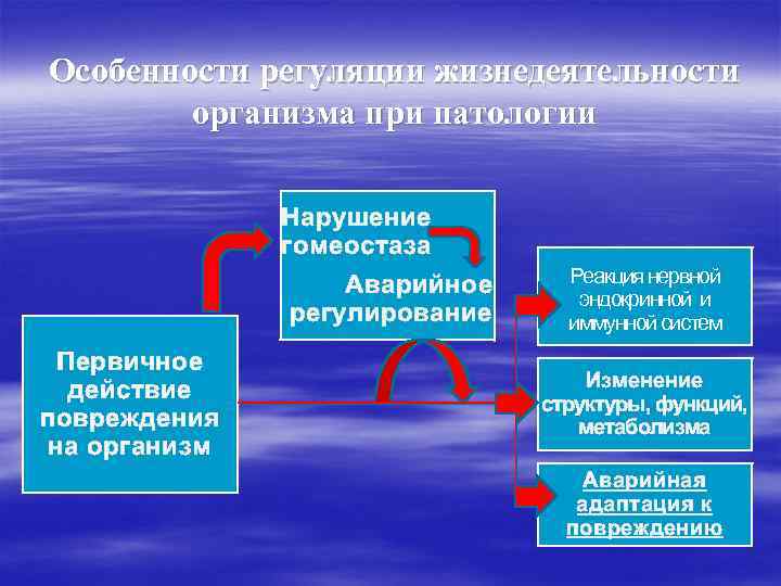 Особенности регуляции жизнедеятельности организма при патологии Нарушение гомеостаза Аварийное регулирование Первичное действие повреждения на