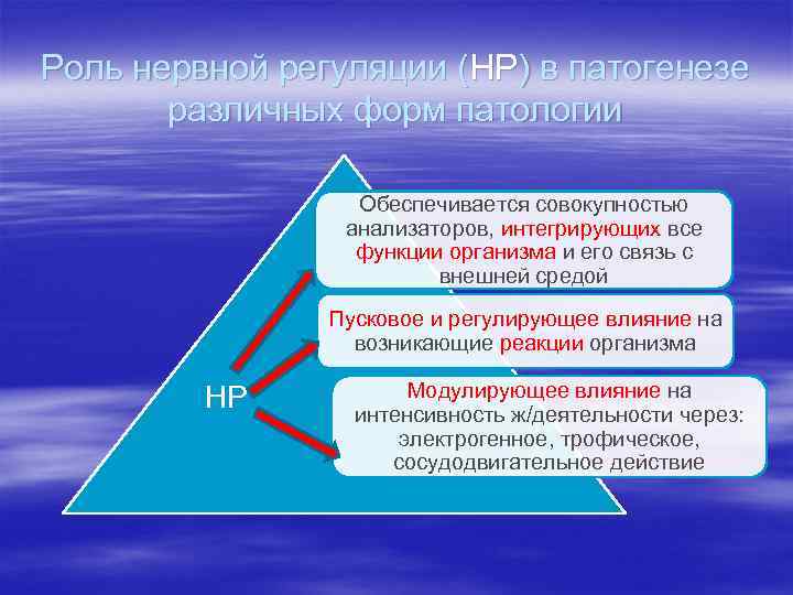 Роль нервной регуляции (НР) в патогенезе различных форм патологии Обеспечивается совокупностью анализаторов, интегрирующих все