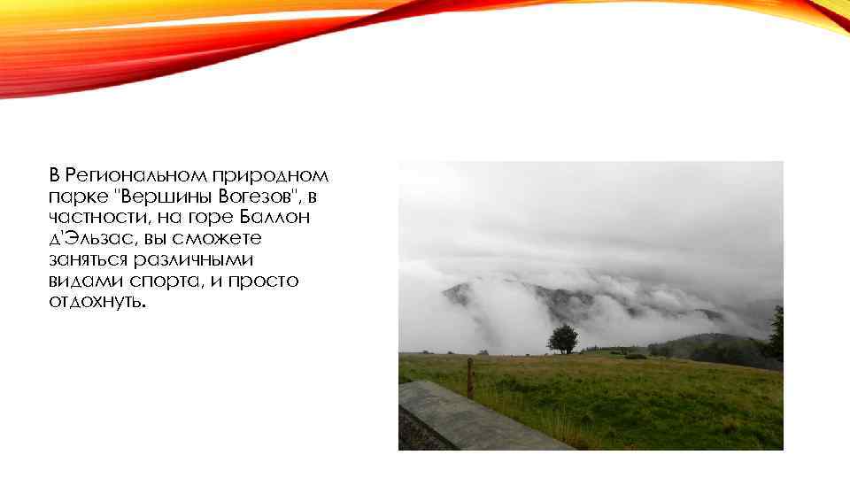 В Региональном природном парке "Вершины Вогезов", в частности, на горе Баллон д'Эльзас, вы сможете