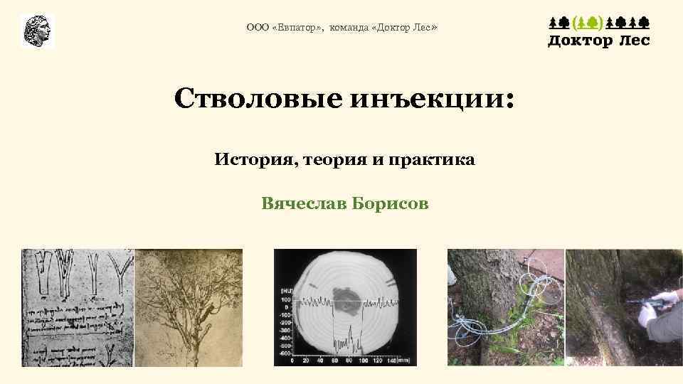 ООО «Евпатор» , команда «Доктор Лес» Стволовые инъекции: История, теория и практика Вячеслав Борисов