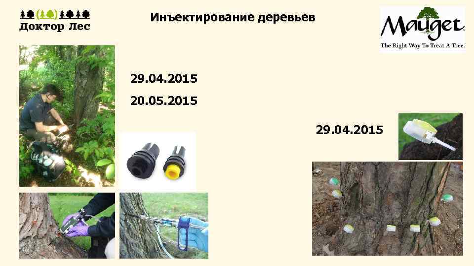 Инъектирование деревьев 29. 04. 2015 20. 05. 2015 29. 04. 2015 