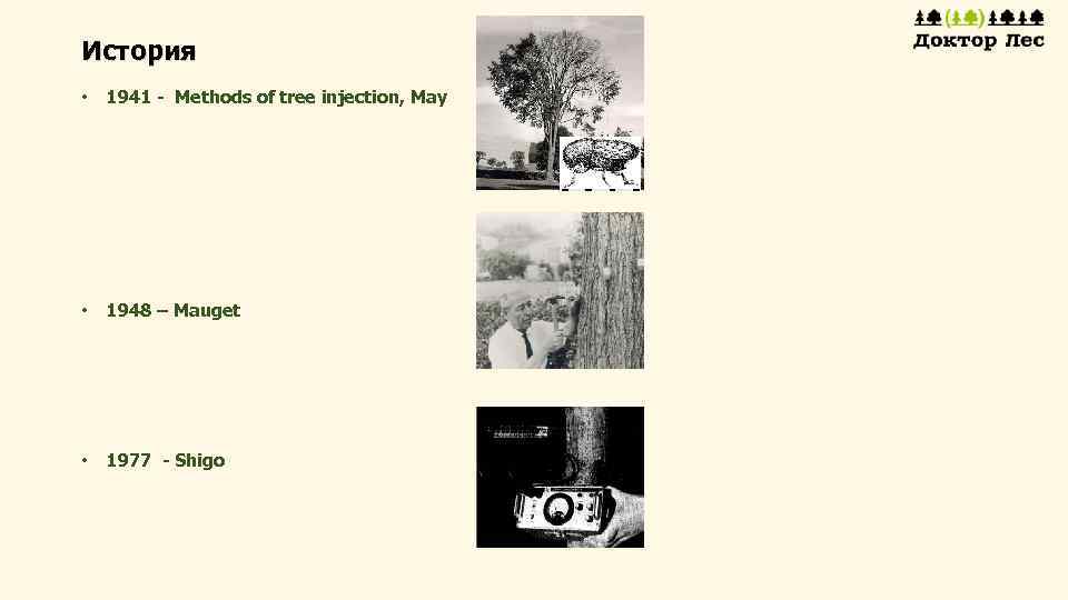 История • 1941 - Methods of tree injection, May • 1948 – Mauget •