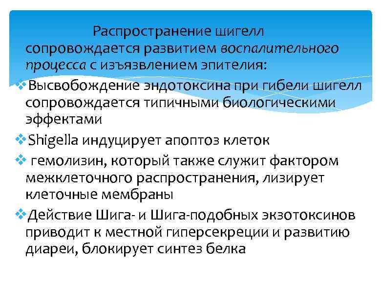 Распространение шигелл сопровождается развитием воспалительного процесса с изъязвлением эпителия: v. Высвобождение эндотоксина при гибели