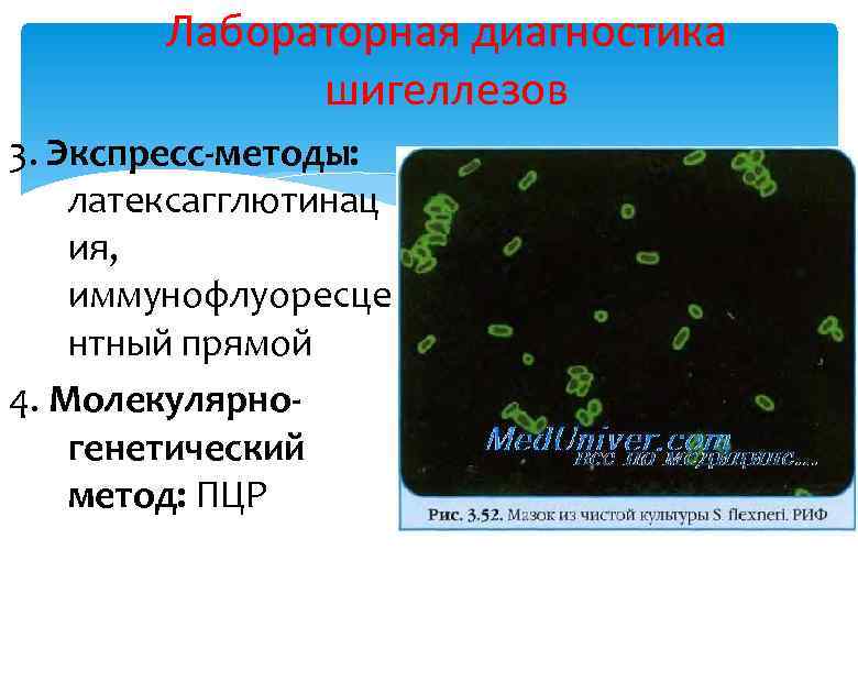 Лабораторная диагностика шигеллезов 3. Экспресс-методы: латексагглютинац ия, иммунофлуоресце нтный прямой 4. Молекулярногенетический метод: ПЦР