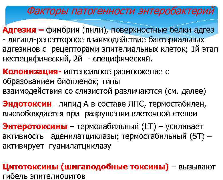 Факторы патогенности энтеробактерий Адгезия – фимбрии (пили), поверхностные белки-адгез - лиганд-рецепторное взаимодействие бактериальных адгезинов