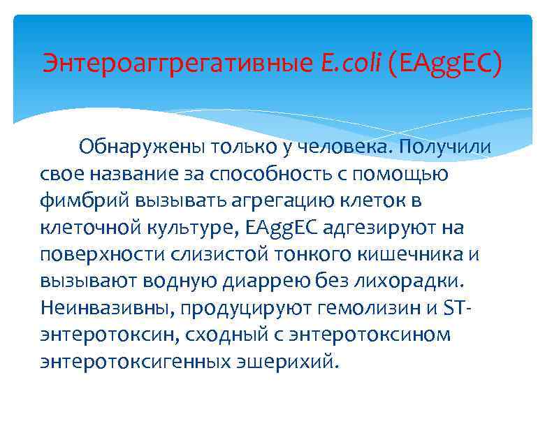 Энтероаггрегативные E. coli (EAgg. EC) Обнаружены только у человека. Получили свое название за способность