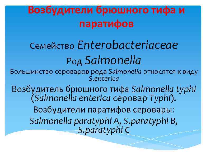 Возбудители брюшного тифа и паратифов Семейство Enterobacteriaceae Род Salmonella Большинство сероваров рода Salmonella относятся