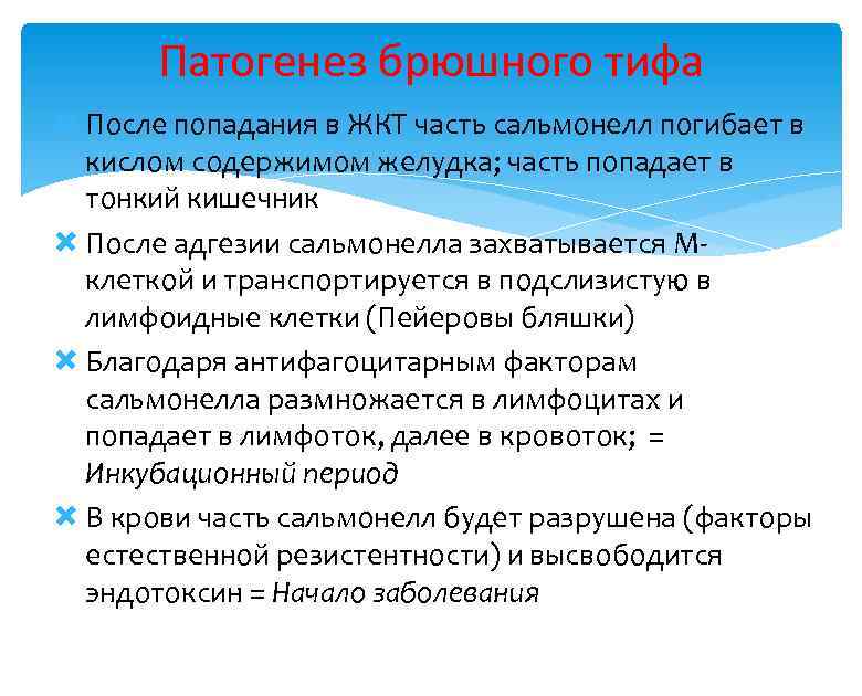 Патогенез брюшного тифа После попадания в ЖКТ часть сальмонелл погибает в кислом содержимом желудка;