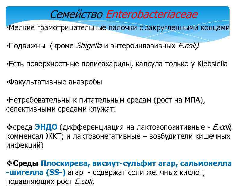 Семейство Enterobacteriaceae • Мелкие грамотрицательные палочки с закругленными концами • Подвижны (кроме Shigella и