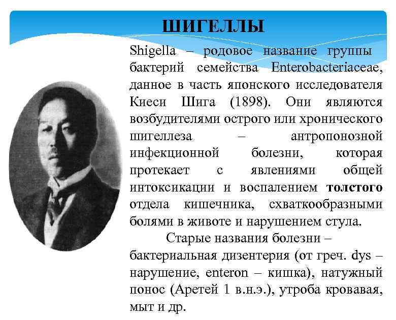 ШИГЕЛЛЫ Киёси Шига Shigella – родовое название группы бактерий семейства Enterobacteriaceae, данное в часть