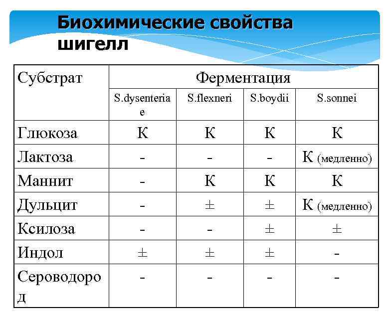 Биохимические свойства шигелл Субстрат Ферментация S. dysenteria e Глюкоза Лактоза Маннит Дульцит Ксилоза Индол