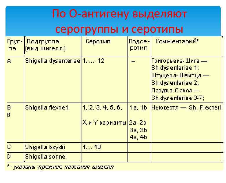 По О-антигену выделяют серогруппы и серотипы 