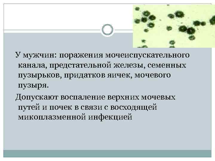  У мужчин: поражения мочеиспускательного канала, предстательной железы, семенных пузырьков, придатков яичек, мочевого пузыря.