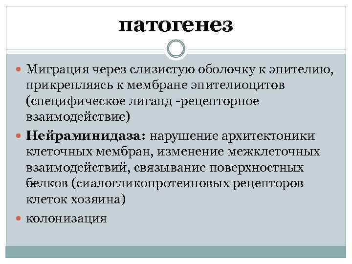 патогенез Миграция через слизистую оболочку к эпителию, прикрепляясь к мембране эпителиоцитов (специфическое лиганд -рецепторное