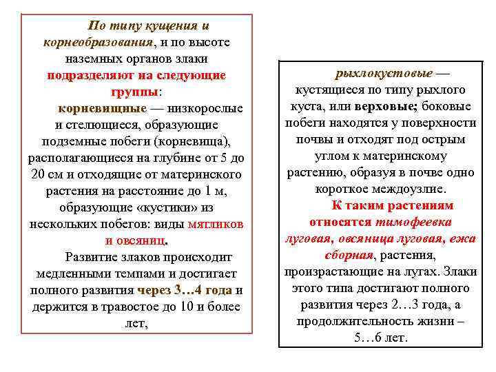 По типу кущения и корнеобразования, и по высоте корнеобразования наземных органов злаки подразделяют на