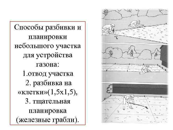 Способы разбивки и планировки небольшого участка для устройства газона: 1. отвод участка 2. разбивка