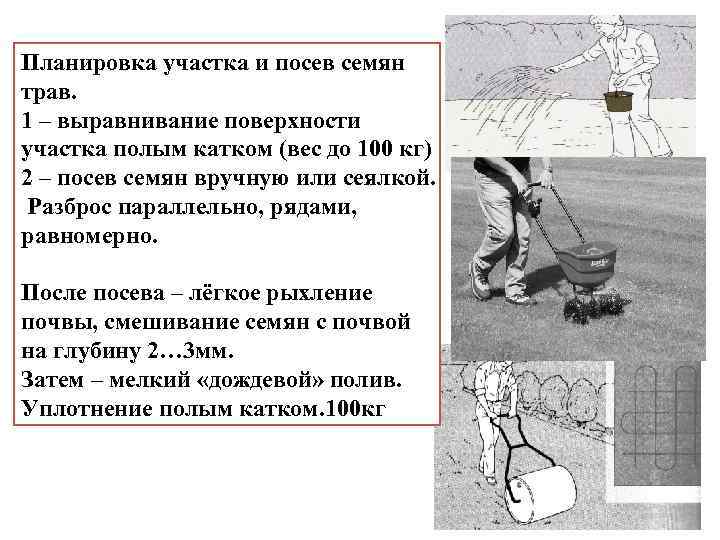 Планировка участка и посев семян трав. 1 – выравнивание поверхности участка полым катком (вес