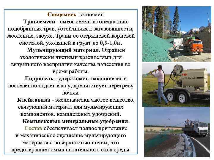 Спецсмесь включает: Спецсмесь Травосмеси - смесь семян из специально подобранных трав, устойчивых к загазованности,