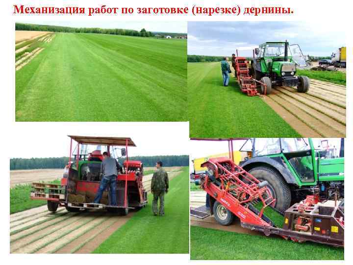 Механизация работ по заготовке (нарезке) дернины. 