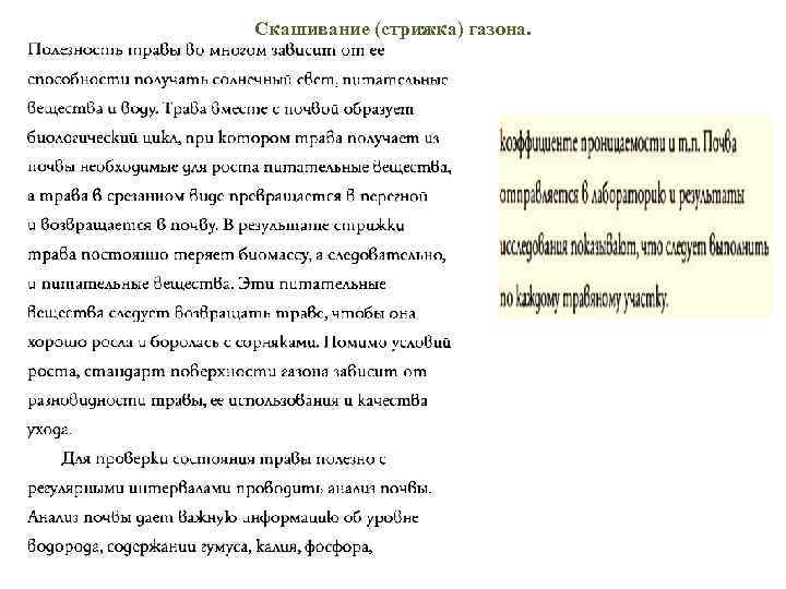 Скашивание (стрижка) газона. 