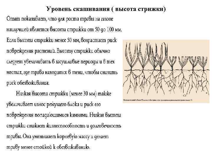 Уровень скашивания ( высота стрижки) 