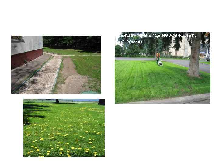 Газон претерпел деградацию. После скашивания необходимо устранить «проплешины» , повреждения в виде неровностей, путём